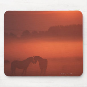Two horses at sunset mouse pad