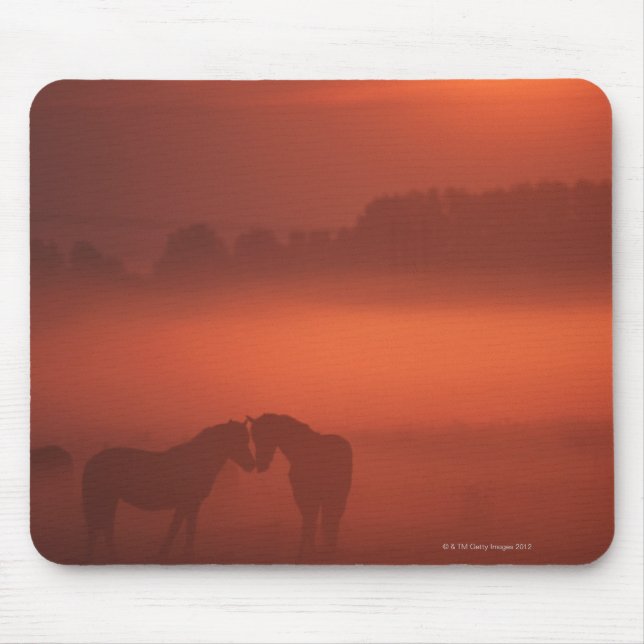 Two horses at sunset mouse pad (Front)