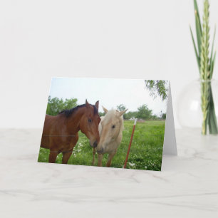 Two Horses - Blank Inside Holiday Card