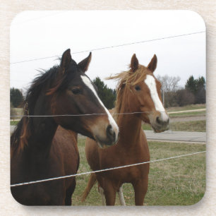 Two Horses Coaster