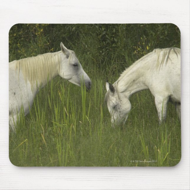 Two horses eating grass mouse pad (Front)