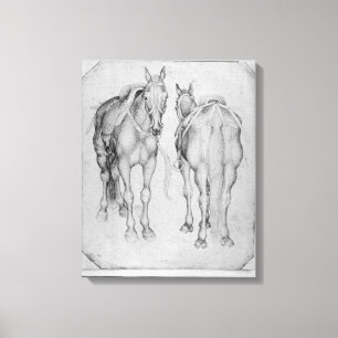 Two horses, from the The Vallardi Album Canvas Print