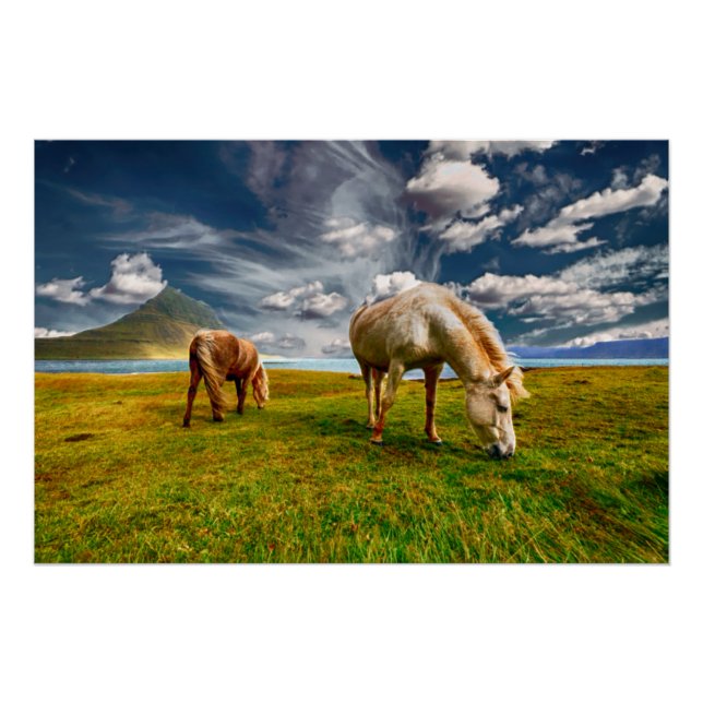 Two Horses Grazing in Pasture Poster (Front)