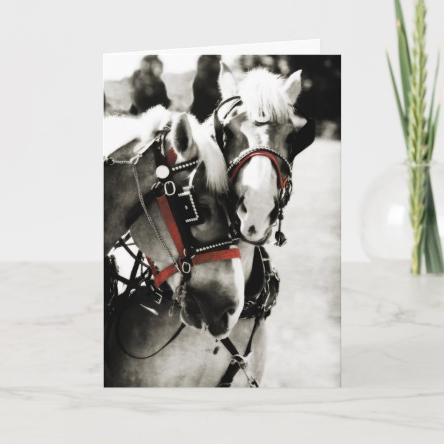Two Horses Holiday Christmas Greeting Card (Front)