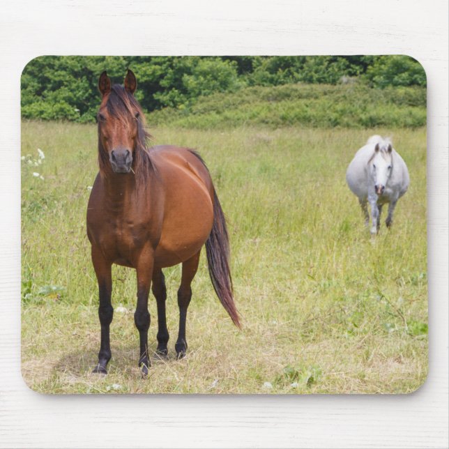 Two horses in a field mouse pad (Front)