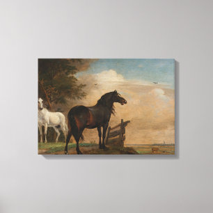 Two Horses in a Meadow Near a Gate (Paulus Potter) Canvas Print