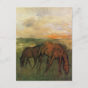 Two Horses in a Pasture by Edgar Degas Postcard