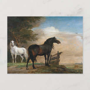 Two Horses in pasture Postcard
