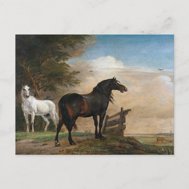 Two Horses in pasture Postcard (Front)