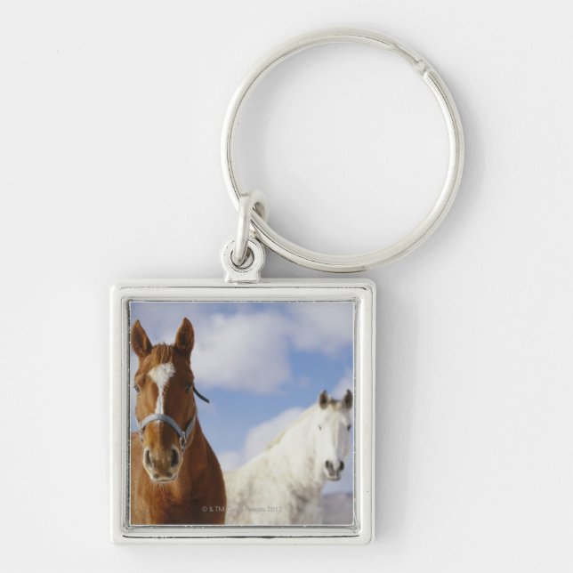 Two Horses Key Ring (Front)