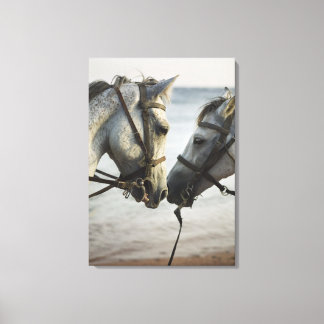 Two horses meeting. canvas print