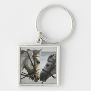 Two horses meeting. key ring