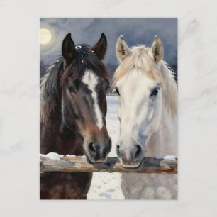 Two Horses on a Snowy Farm   Keeping in Touch Postcard