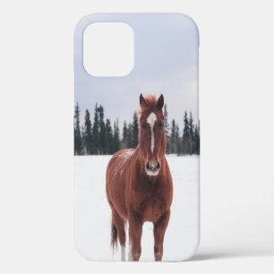 TWO HORSES ON SNOW iPhone 12 CASE