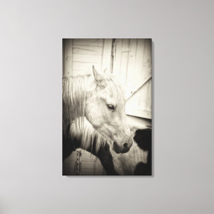two horses outside a stable- black and white canvas print
