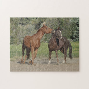 Two Horses Playing Jigsaw Puzzle