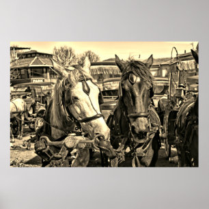 Two Horses Poster