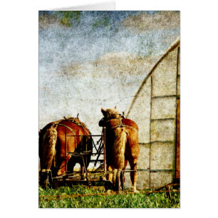 Two Horses Ready For Work