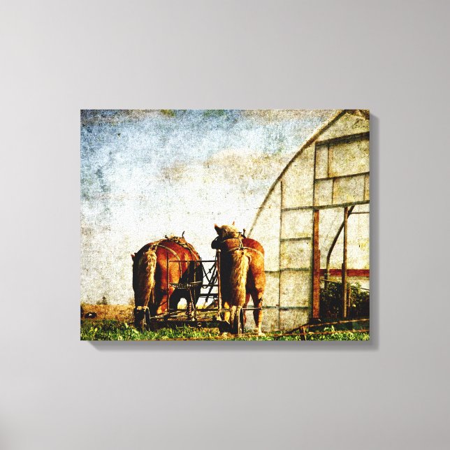 Two Horses Ready for Work Canvas Print (Front)