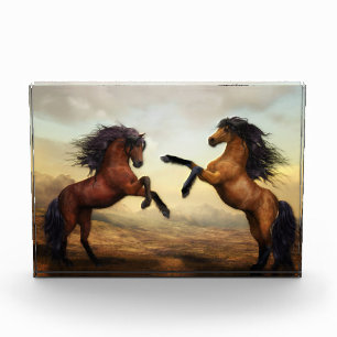 Two Horses Rearing Photo Block