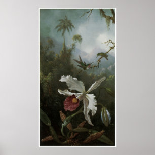 Two Hummingbirds above a White Orchid, 1870s Poster