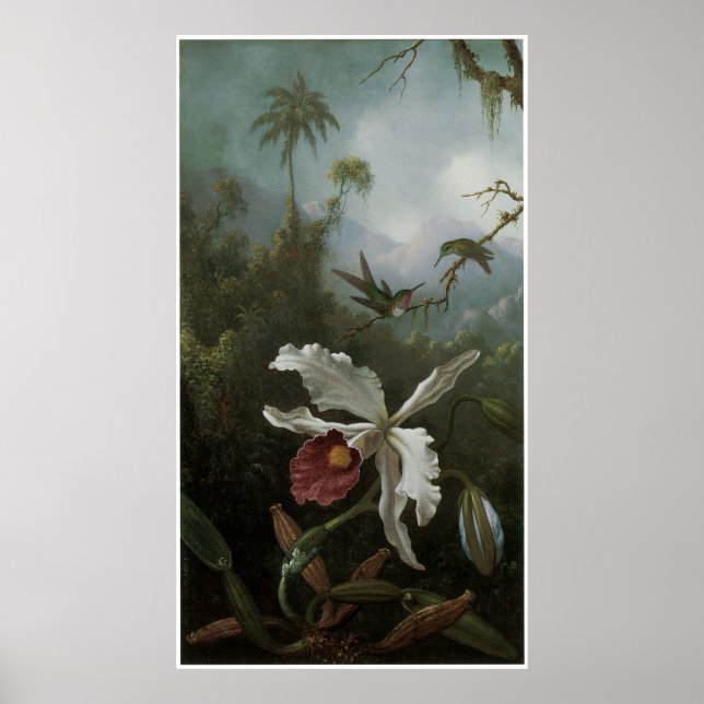 Two Hummingbirds above a White Orchid, 1870s Poster (Front)
