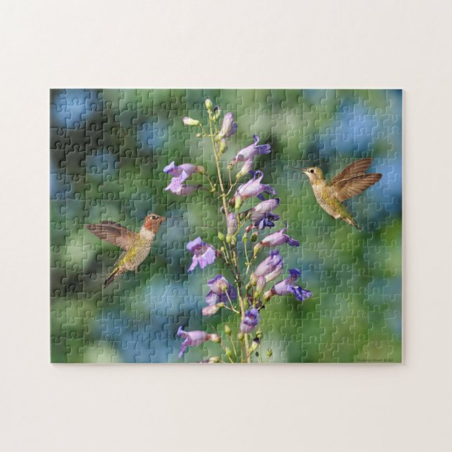 Two Hummingbirds in Flight With Flower Jigsaw Puzzle (Horizontal)