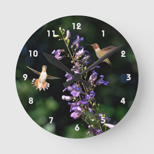 Two Hummingbirds In Flight With Flowers Wall Clock (Front)