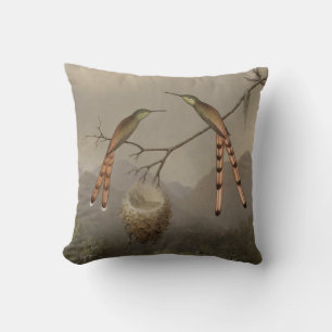 Two Hummingbirds with Their Young Cushion