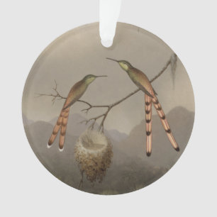 Two Hummingbirds with Their Young Ornament