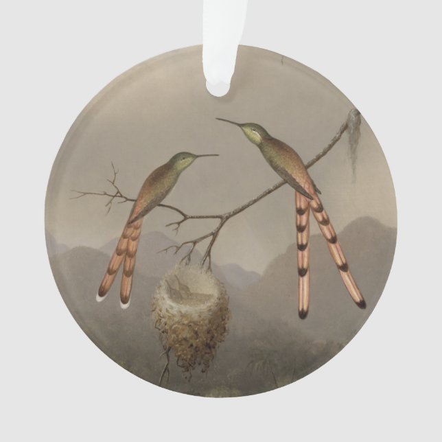 Two Hummingbirds with Their Young Ornament (Front)