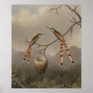 Two Hummingbirds with Their Young Poster