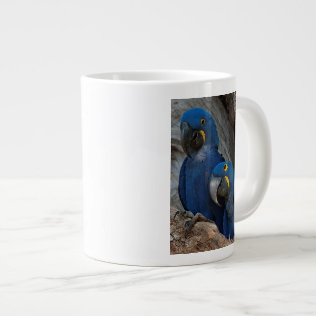 Two Hyacinth Macaws, Brazil Large Coffee Mug (Front Right)