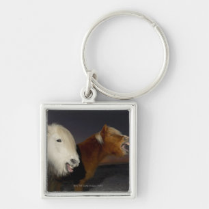 Two Icelandic horses Key Ring