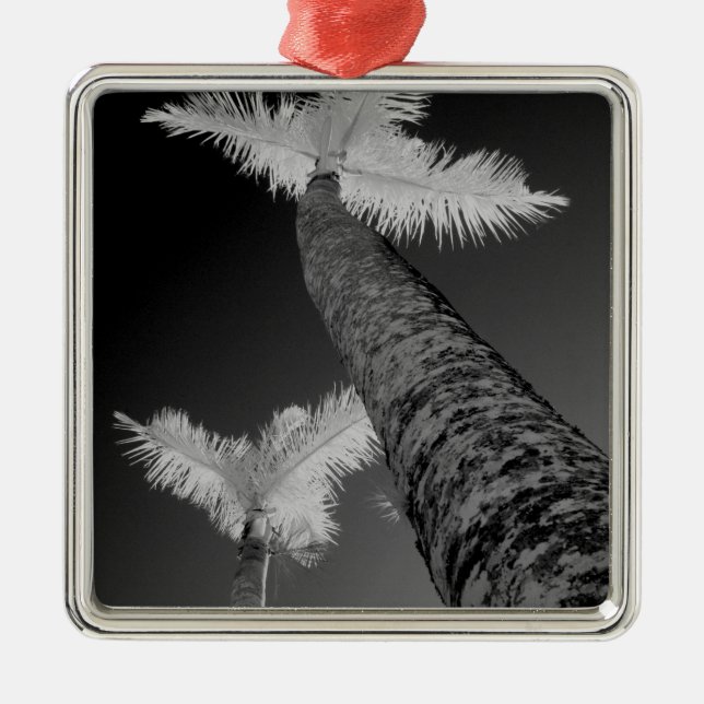 Two infrared palm trees. metal tree decoration (Front)