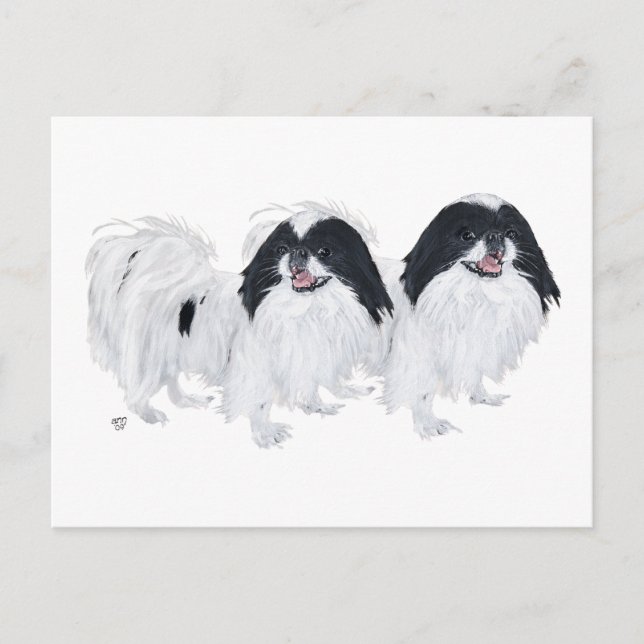Two Japanese Chin Dogs Postcard (Front)