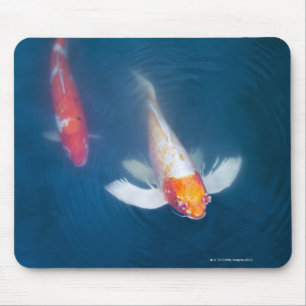 Two Japanese koi fish in pond Mouse Pad