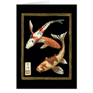Two Japanese Koi Goldfish on Black Background