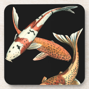 Two Japanese Koi Goldfish on Black Background Coaster