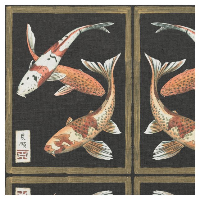 Two Japanese Koi Goldfish on Black Background Fabric (Close Up)