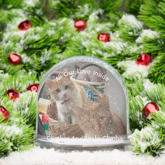 Two Kitten Photo Text , Replace, Front And Back  Snowglobe