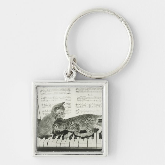 Two kitten playing on piano keyboard, (B&W) Key Ring (Front)