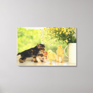 Two Kittens and Two Chicks Playing, Front View, Canvas Print