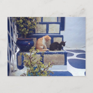 Two Kittens Enjoying the Day Postcard