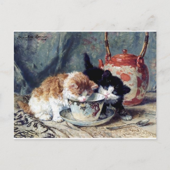 Two kittens having tea party postcard (Front)