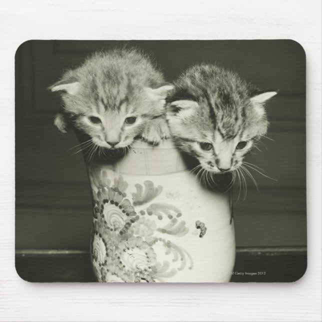 Two kittens hiding in vase, (B&W) Mouse Pad (Front)