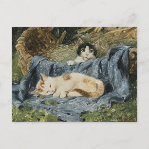 Two Kittens   Julius Adam the Younger Postcard