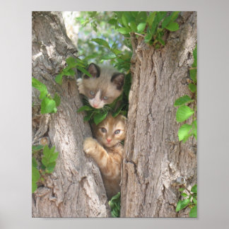 Two Kittens on a Tree Poster