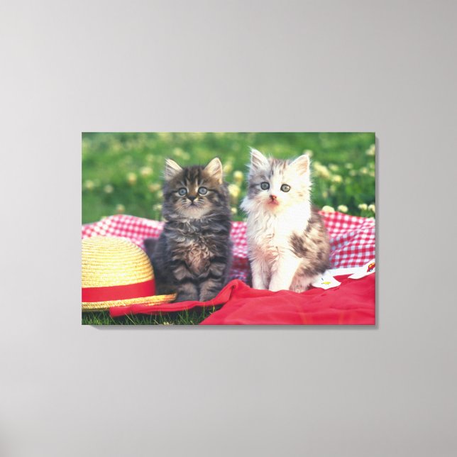 Two Kittens Sitting On A Red-Coloured Blanket Canvas Print (Front)