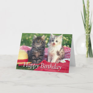 Two Kittens Sitting On A Red-Coloured Blanket Card